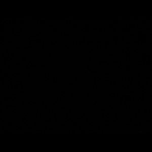 Meet your Posher, Bismitha